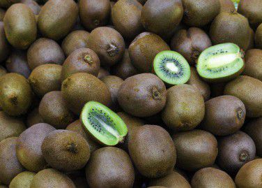 Kiwifruit