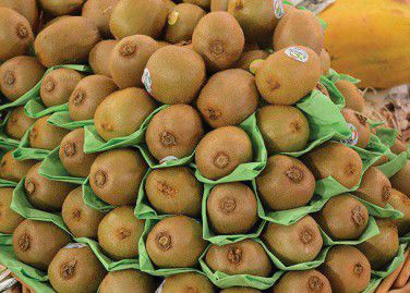 Kiwifruit